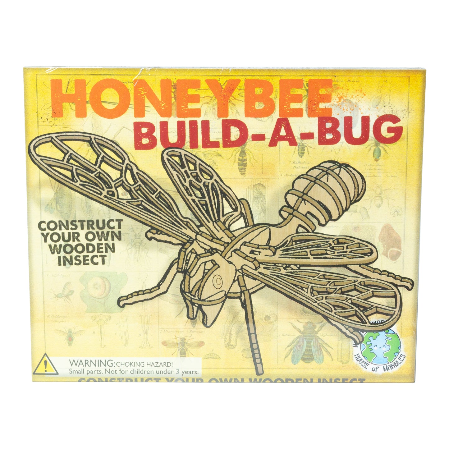 House of Marbles Wooden Build-A-Bug Kit