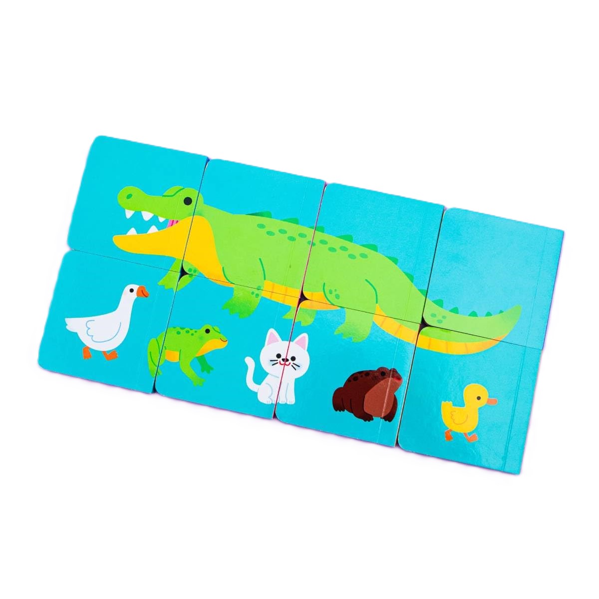 MY LEARNING LIBRARY ANIMALS