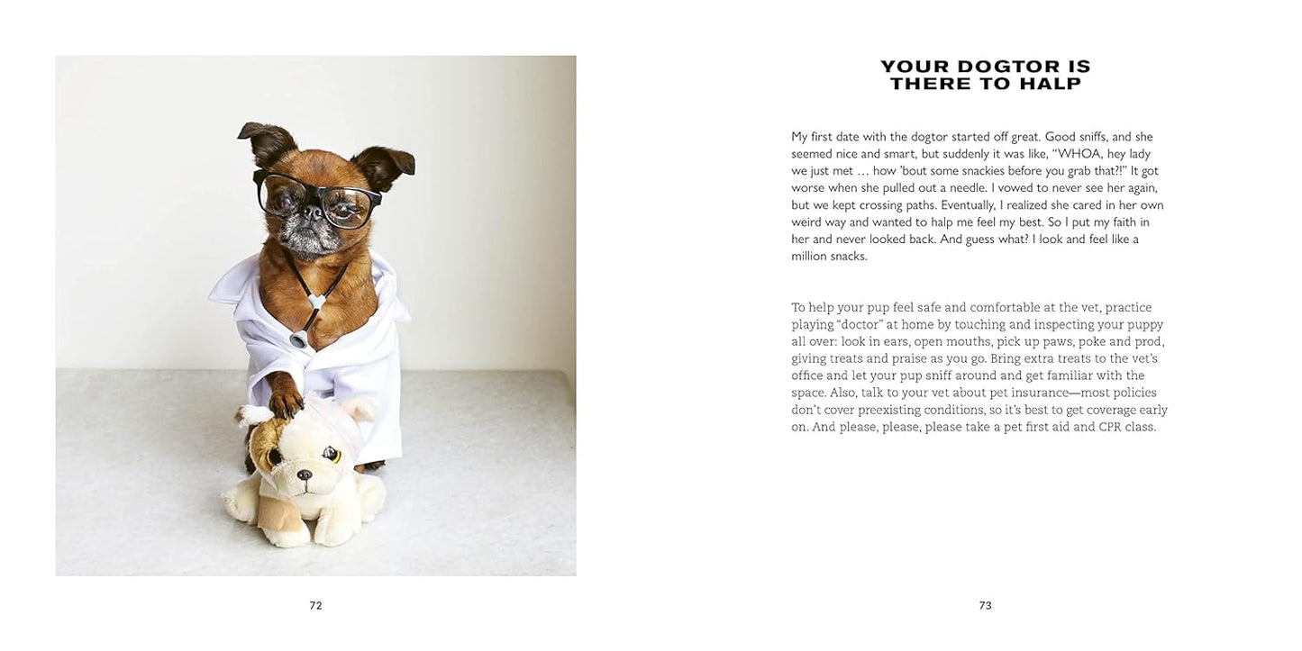 The Good Boy's Guide to Being Good: Master Your Humans and Live Your Best Puppin’ Life Hardcover by Brussels Sprout