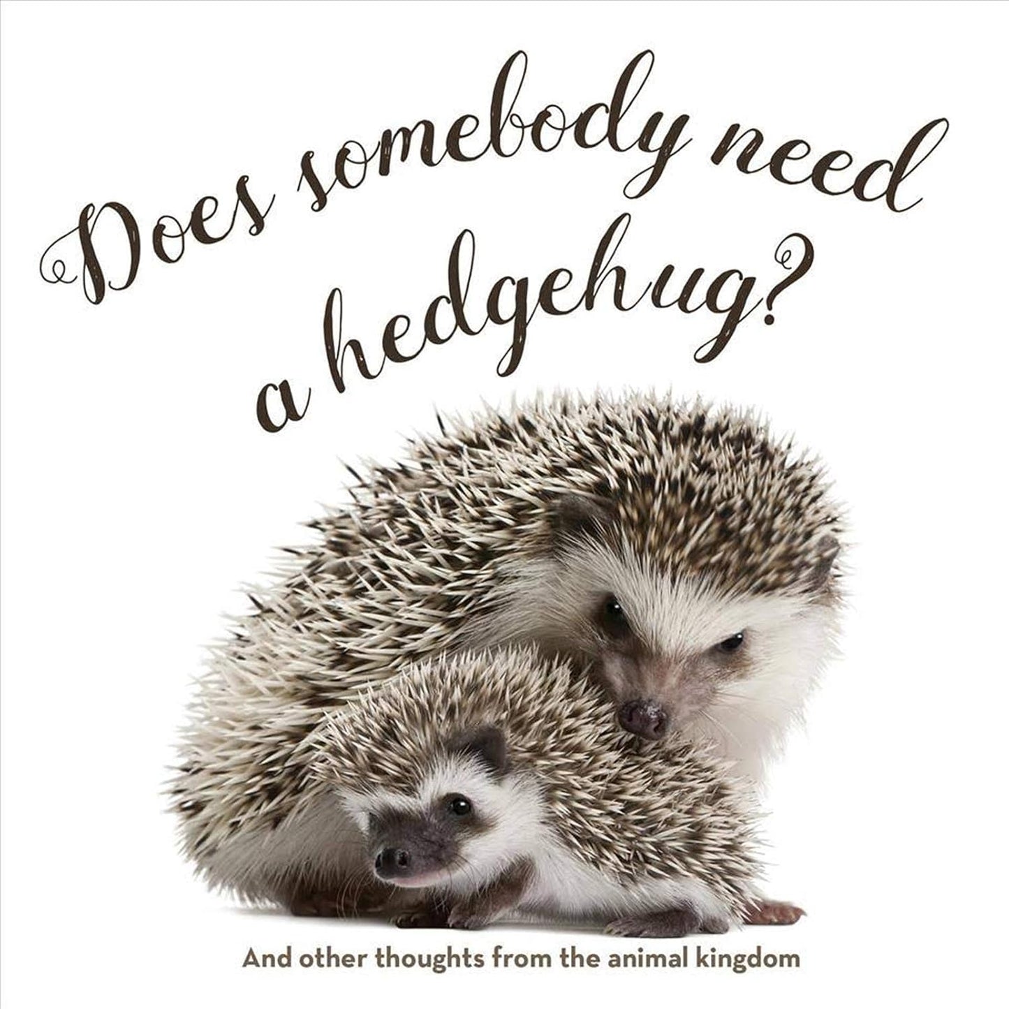 Does Somebody Need a Hedgehug? Hardcover