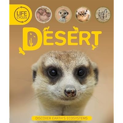 Life Cycles: Desert by Sean Callery (Paperback, 2013)