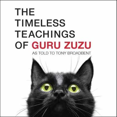 The Timeless Teachings of Guru Zuzu (Paperback) Tony Broadbent