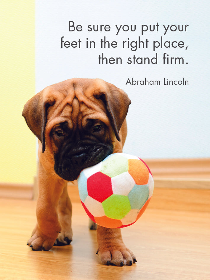 24 Animal Affirmation Cards + Stand - Puppy Love