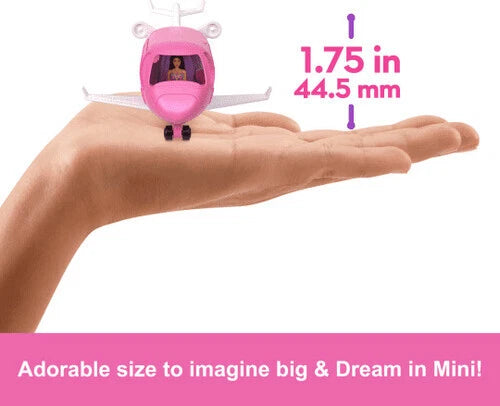 Barbie Mini Barbie Land Dream Plane Vehicle & Doll