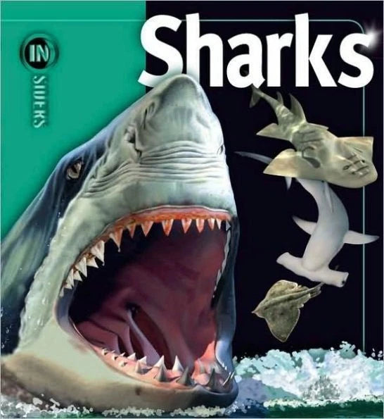 Insiders - Sharks by Beverley McMillan (Paperback, 2015)