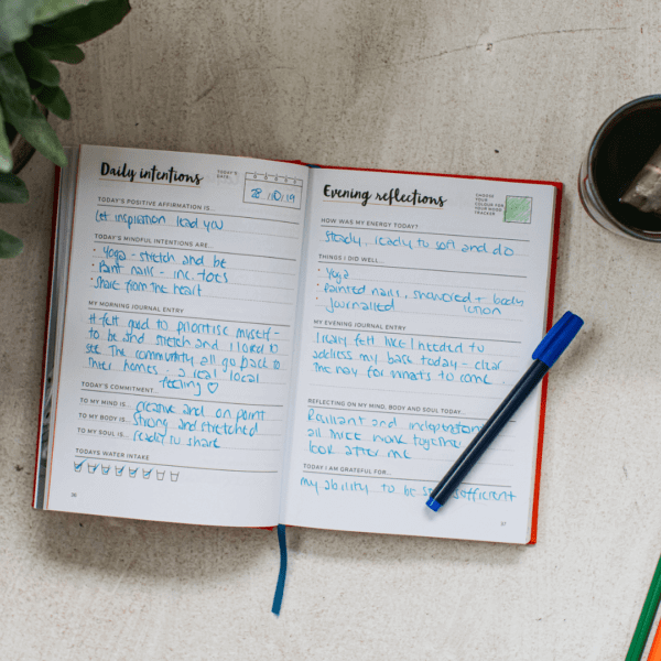 THE POSITIVE WELLNESS JOURNAL