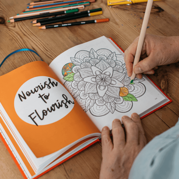 THE POSITIVE WELLNESS JOURNAL