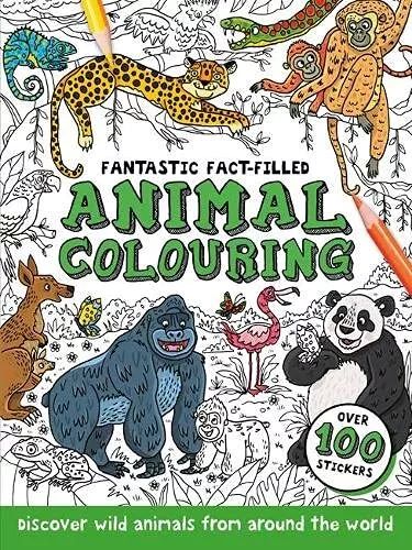 Animals (Around the World Colouring) Paperback
