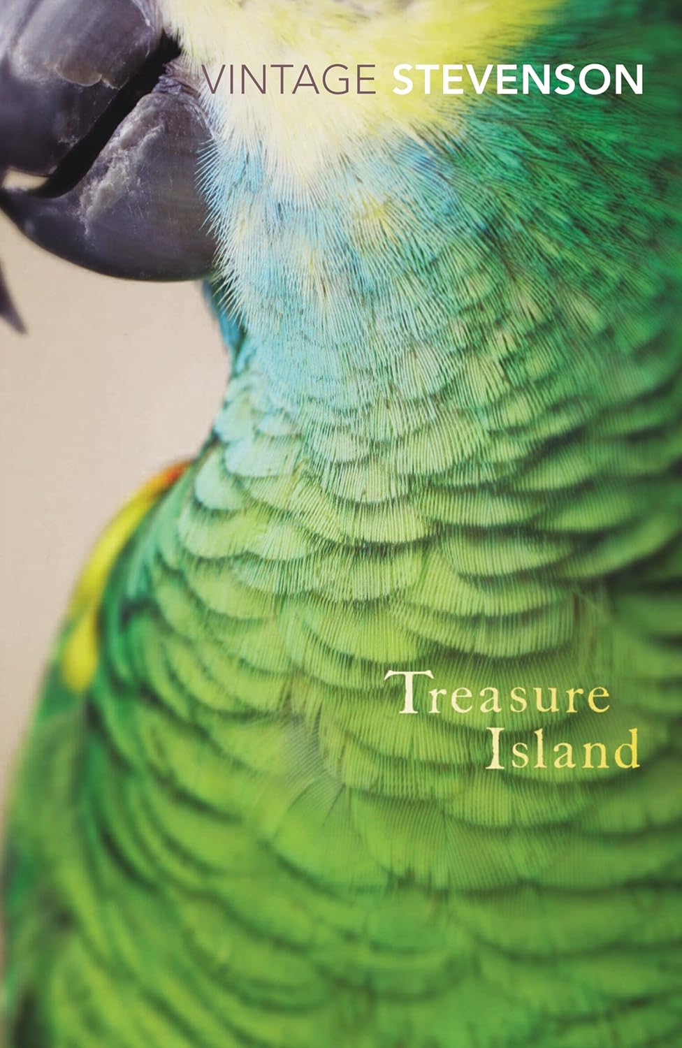 Treasure Island (Vintage Classics) Paperback