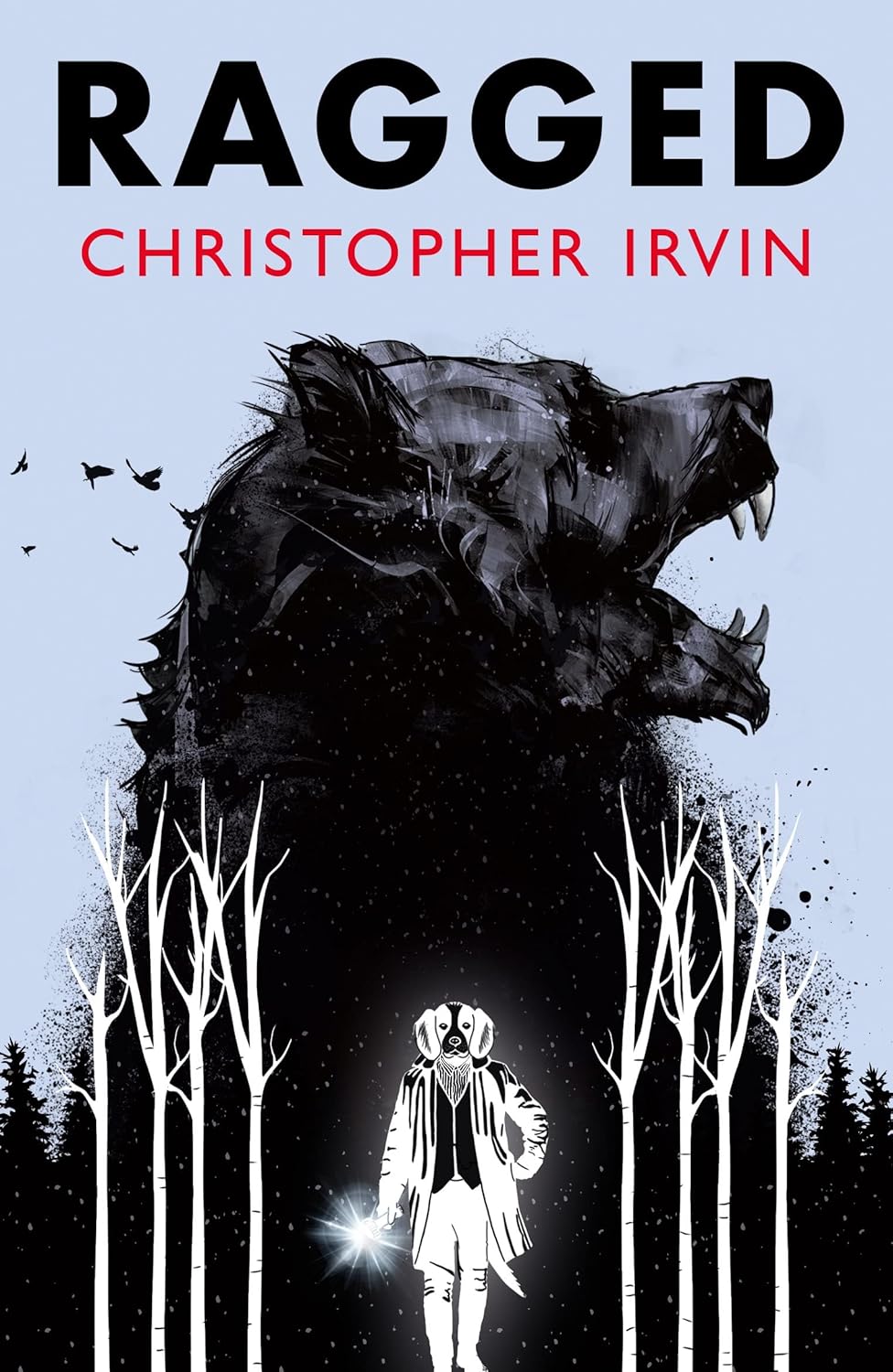 Ragged Paperback by Christopher Irvin