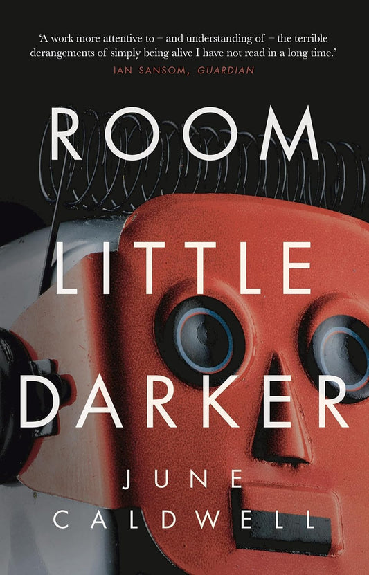 Room Little Darker Paperback by June Caldwell