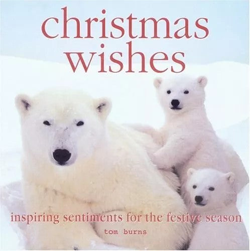 Christmas Wishes Hardback by Tom Burns