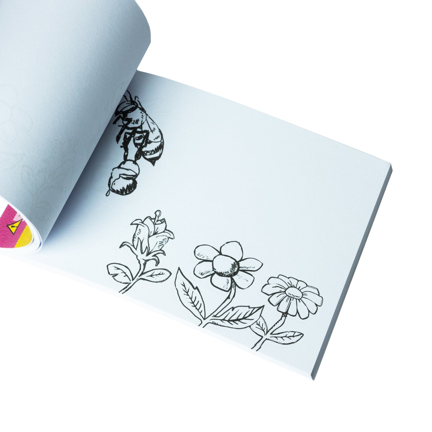 House of Marbles Animated Flick Book