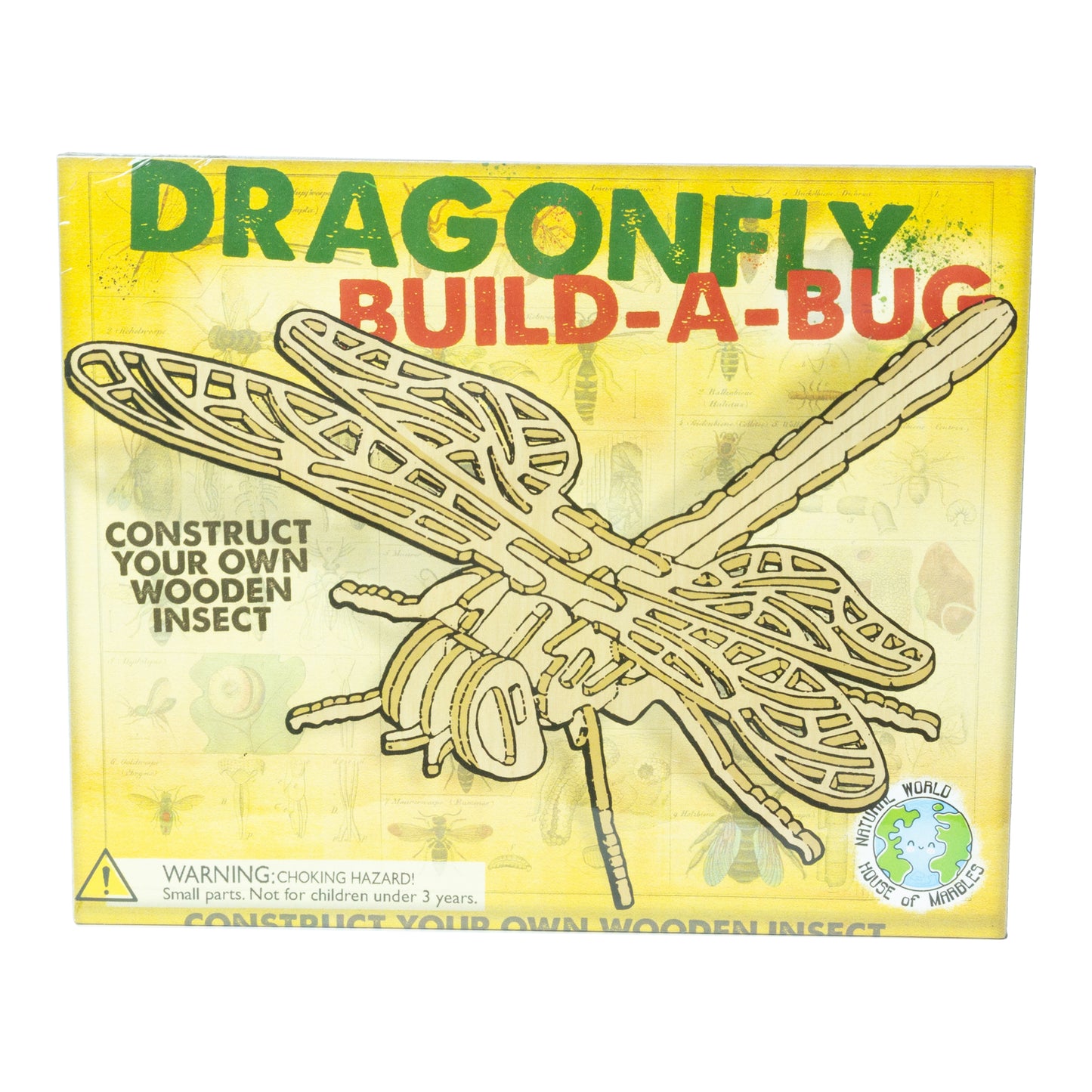 House of Marbles Wooden Build-A-Bug Kit
