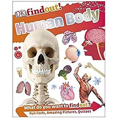 DK Findout! Human Body (Paperback, 2017)