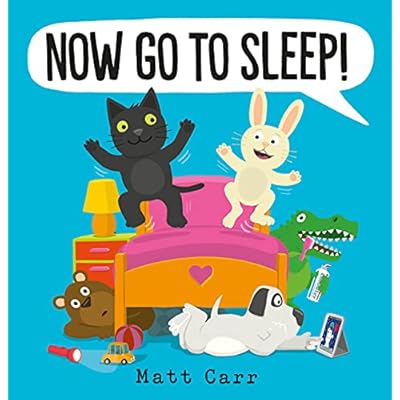 Now Go to Sleep! by Matt Carr (Paperback, 2021)