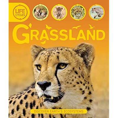 Life Cycles: Grassland by Sean Callery (Paperback, 2012)