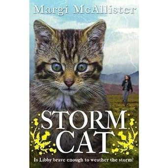 Storm Cat by Margi McAllister (Paperback, 2016)
