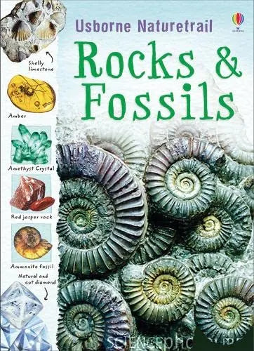Rocks & Fossils (Usborne Naturetrail Book 1) by Struan Reid (Paperback, 2010)