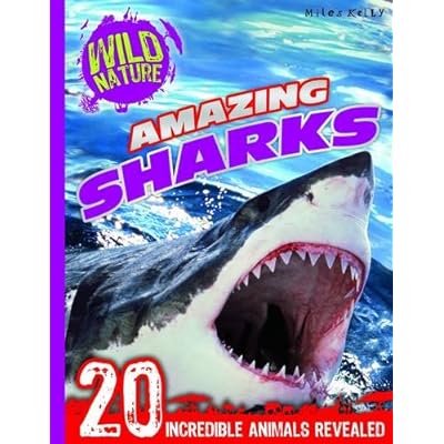 Wild Nature: Amazing Sharks by Miles Kelly (Paperback, 2014)