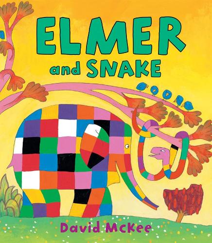 Elmer and Snake - Elmer Picture Books (Paperback) David McKee