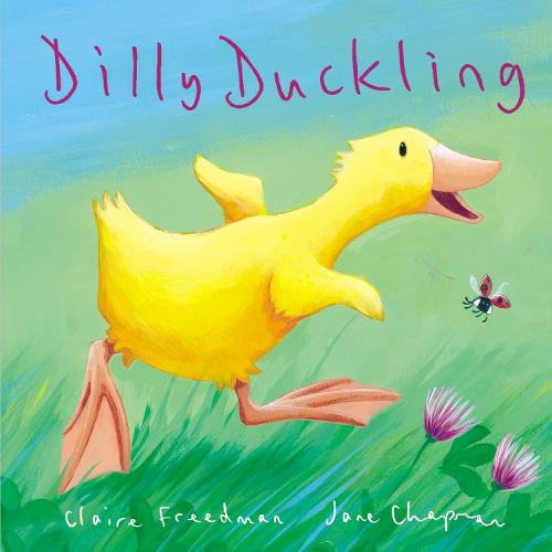 Dilly Duckling by Claire Freedman (Paperback, 2016)