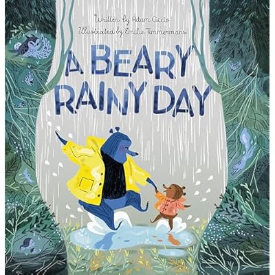 A Beary Rainy Day by Adam Ciccio (Hardcover, 2021)