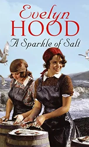 A Sparkle Of Salt by Evelyn Hood (Paperback, 2013)