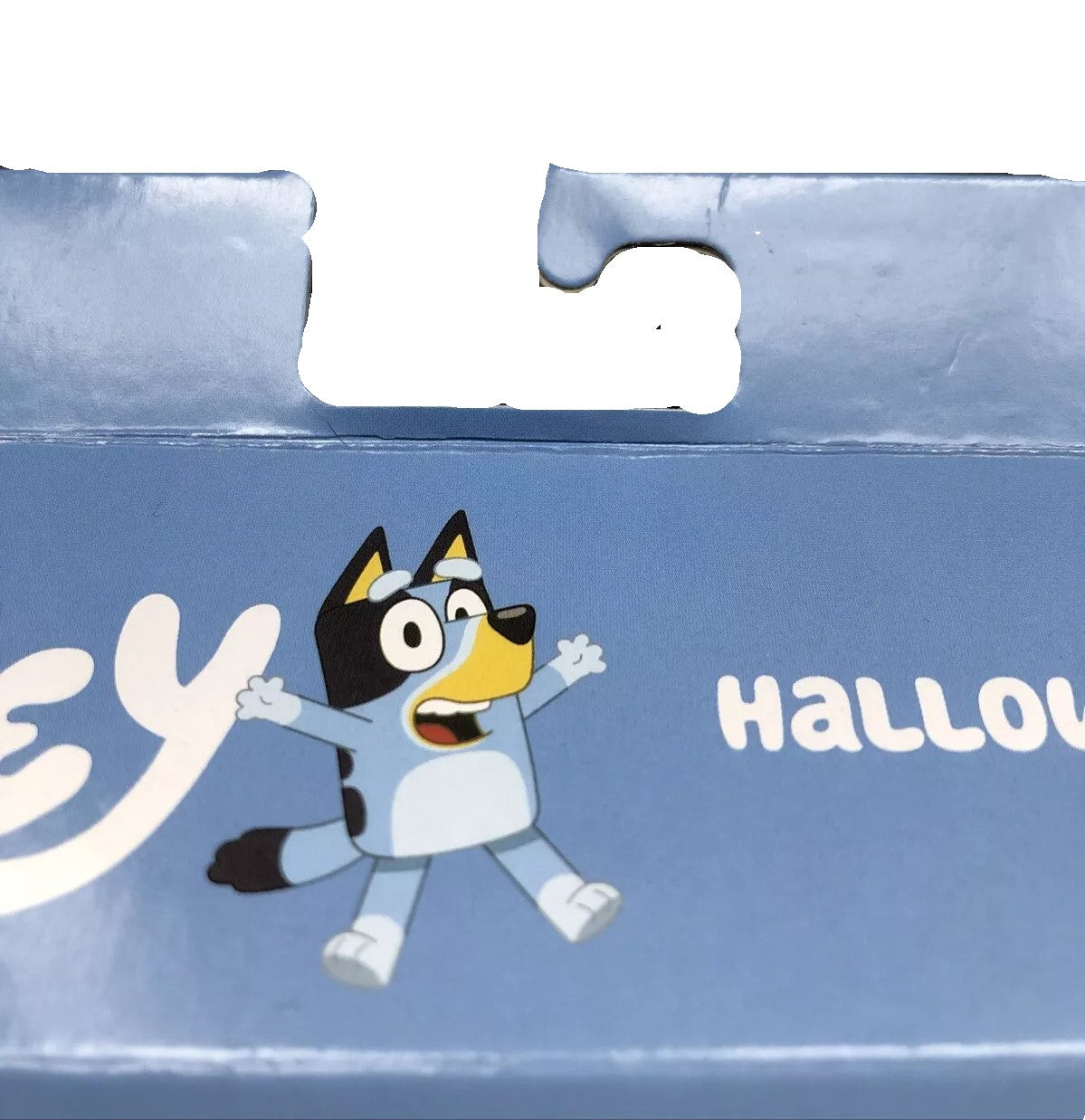 Bluey Halloween Costumes 4 Figure Pack Chloe Lucky Bingo Bluey