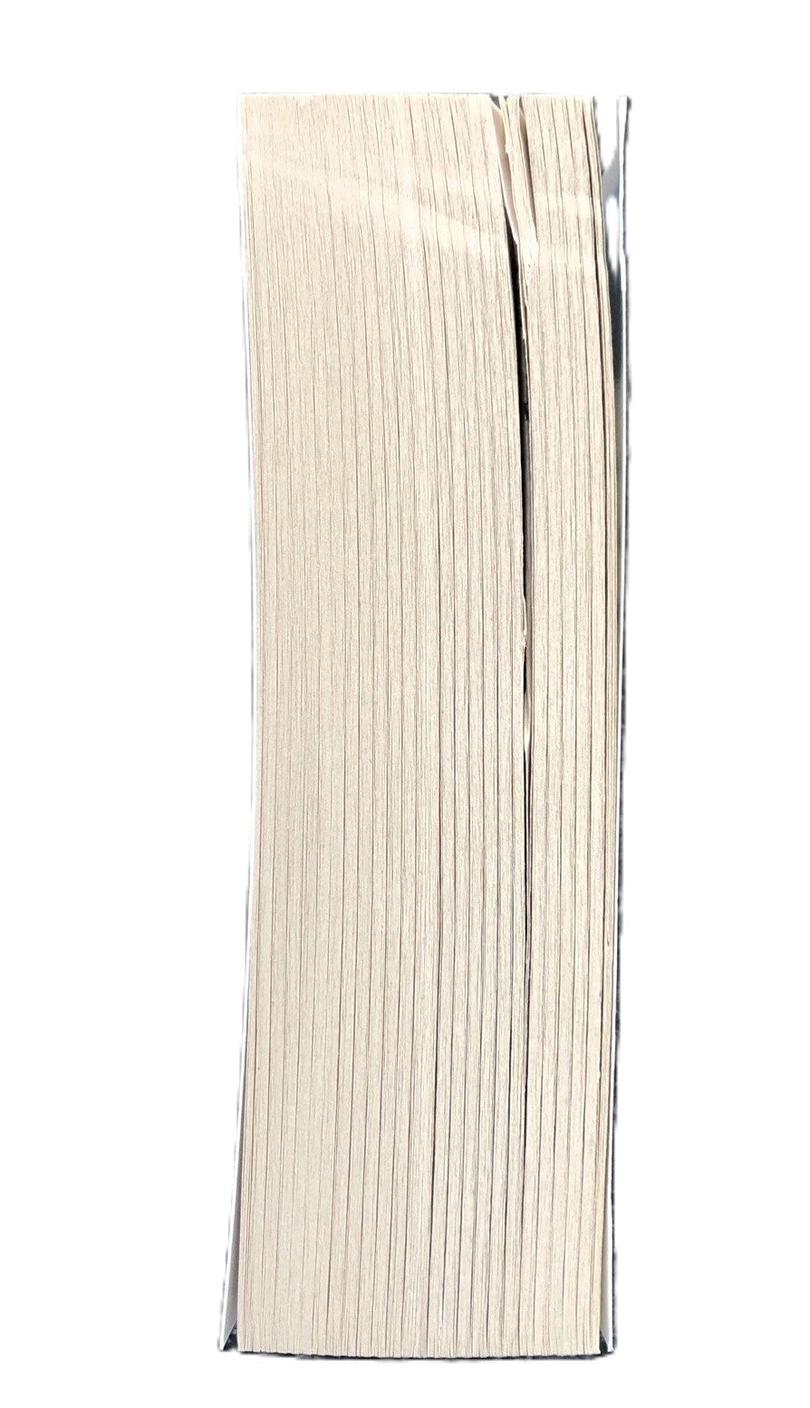 Set of 10 Paperback Books (Lot 2)