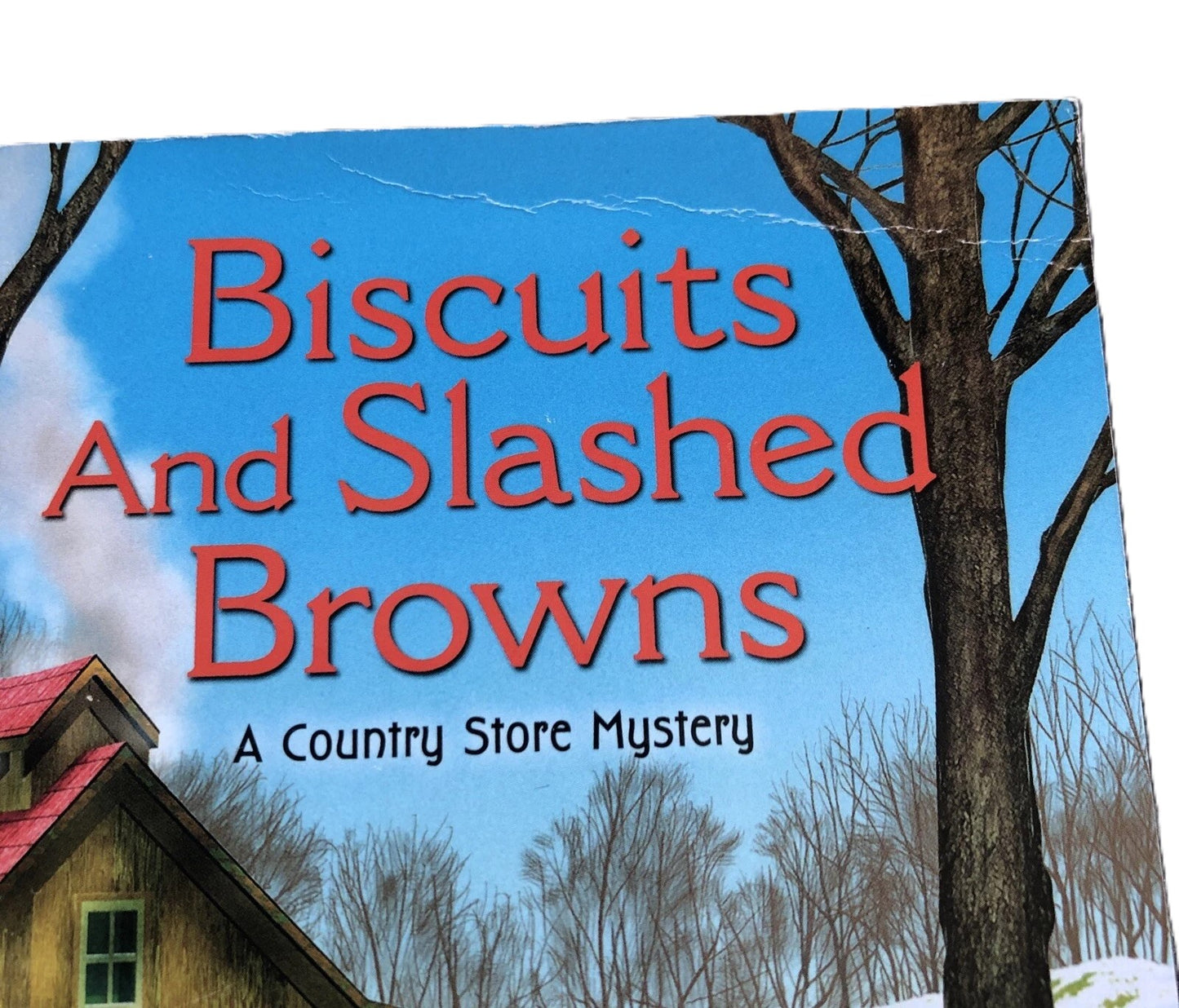 Set of 10 Paperback Books (Lot 3)