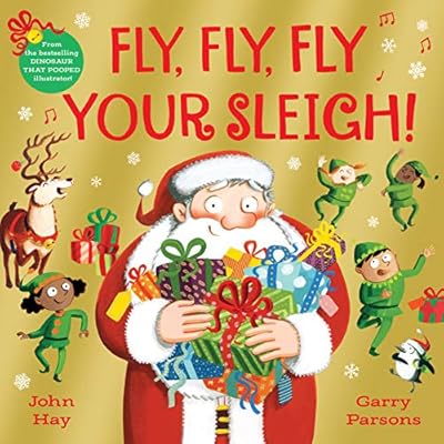 Fly, Fly, Fly Your Sleigh by Garry Parsons (Paperback, 2021)