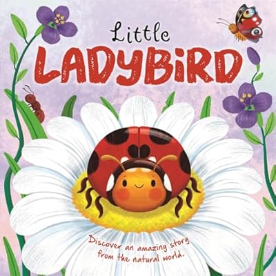 Little Ladybird by Autumn Publishing (Board Book, 2024)