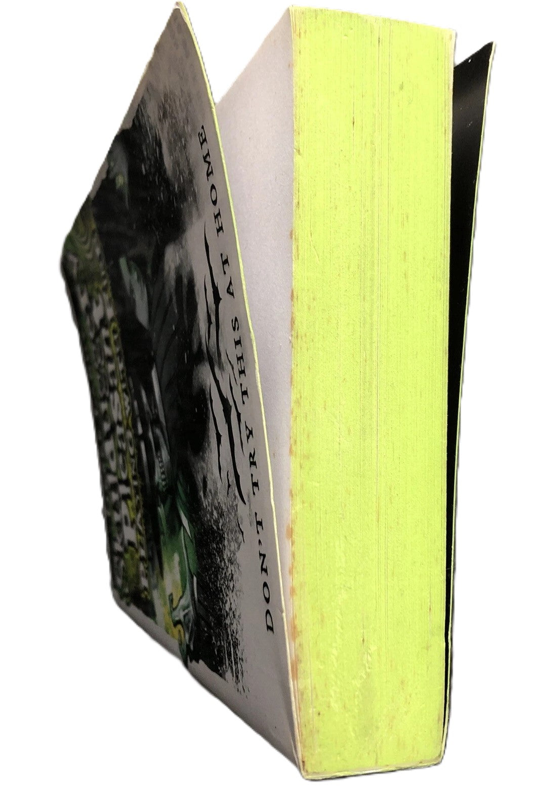 Playing With Fire (Skulduggery Pleasant) by Derek Landy (Paperback, 2008) 1st Edition