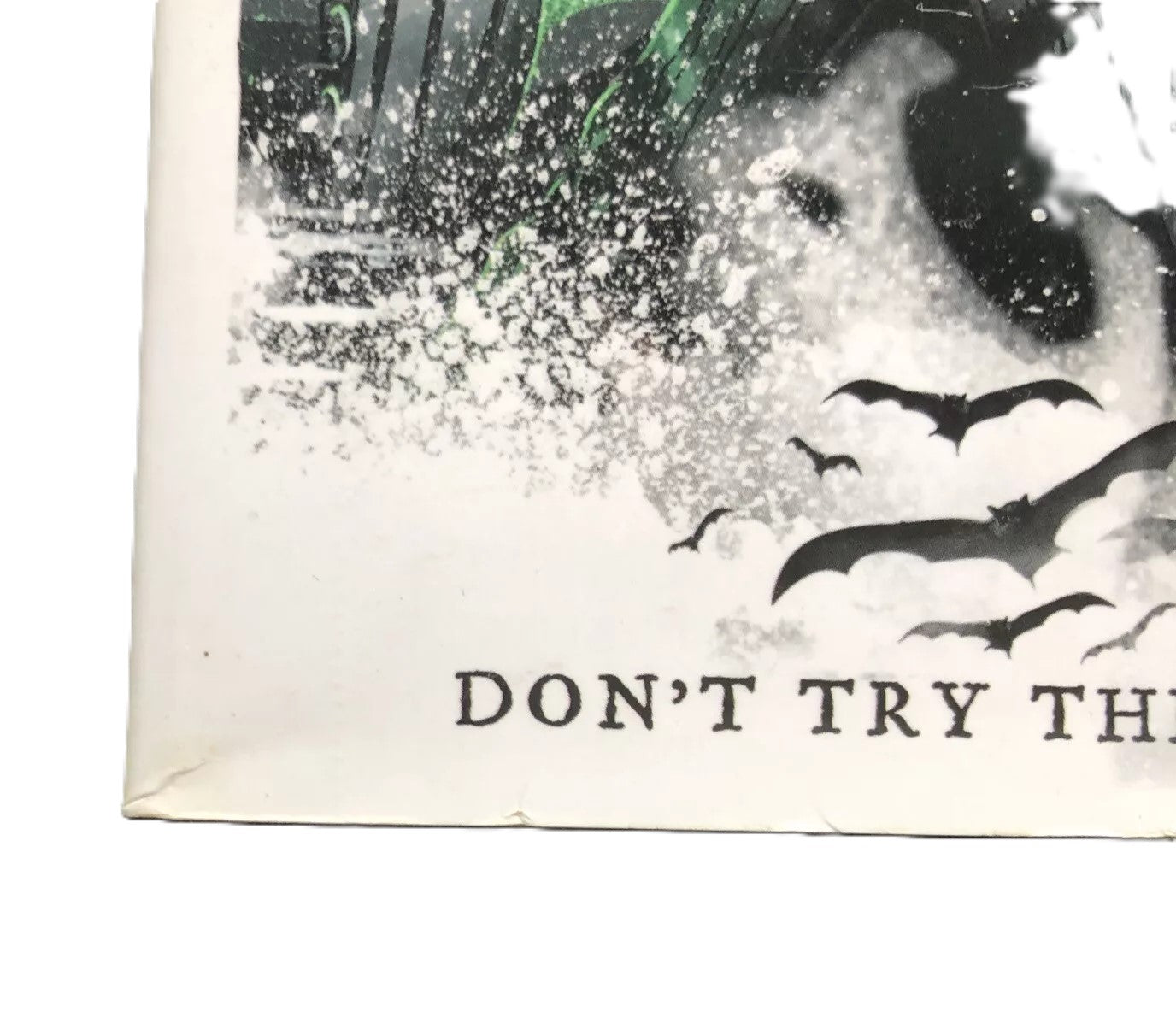 Playing With Fire (Skulduggery Pleasant) by Derek Landy (Paperback, 2008) 1st Edition