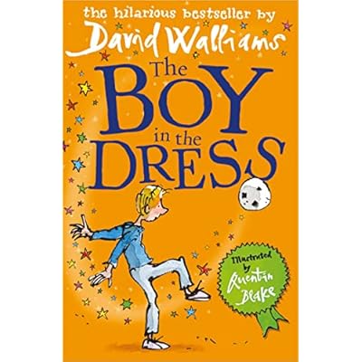 The Boy in the Dress by David Walliams (Paperback, 2009)
