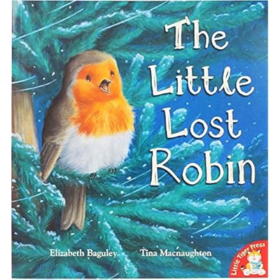 The Little Lost Robin by Elizabeth Baguley (Paperback, 2016)